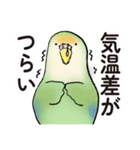 コザクラインコ ピノとその仲間たち3（個別スタンプ：18）