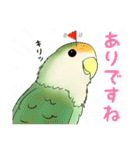 コザクラインコ ピノとその仲間たち3（個別スタンプ：23）