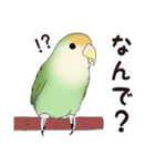 コザクラインコ ピノとその仲間たち3（個別スタンプ：25）