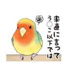 コザクラインコ ピノとその仲間たち3（個別スタンプ：26）