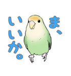 コザクラインコ ピノとその仲間たち3（個別スタンプ：28）