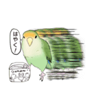 コザクラインコ ピノとその仲間たち3（個別スタンプ：31）