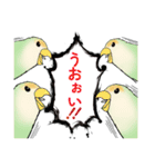 コザクラインコ ピノとその仲間たち3（個別スタンプ：34）