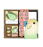 コザクラインコ ピノとその仲間たち3（個別スタンプ：35）