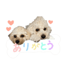 ソイチャイのスタンプ（個別スタンプ：1）