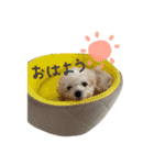 ソイチャイのスタンプ（個別スタンプ：2）
