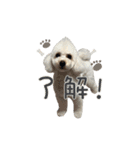 ソイチャイのスタンプ（個別スタンプ：18）