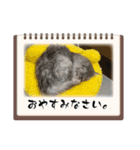 みんとの時間（個別スタンプ：3）
