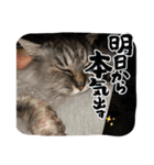 みんとの時間（個別スタンプ：4）