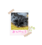みんとの時間（個別スタンプ：6）