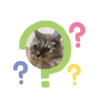みんとの時間（個別スタンプ：9）