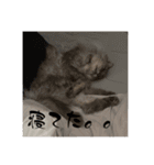 みんとの時間（個別スタンプ：12）