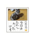みんとの時間（個別スタンプ：13）
