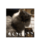 みんとの時間（個別スタンプ：15）
