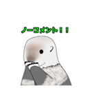らっこがかわいいスタンプ（個別スタンプ：5）