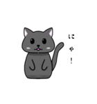 手描きねこたん（個別スタンプ：1）