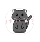 手描きねこたん（個別スタンプ：2）