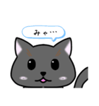 手描きねこたん（個別スタンプ：11）