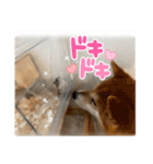 まるの 毎日（個別スタンプ：5）