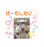 ♡ぴぺすたんぷ♡（個別スタンプ：30）