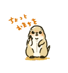 ジリスちゃんLINEスタンプ1（個別スタンプ：6）