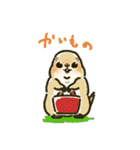 ジリスちゃんLINEスタンプ1（個別スタンプ：30）