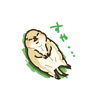 ジリスちゃんLINEスタンプ1（個別スタンプ：40）