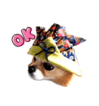 ジャビとココ（個別スタンプ：3）