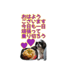 花と食べ物と愛犬で長文（個別スタンプ：31）