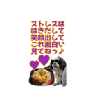 花と食べ物と愛犬で長文（個別スタンプ：38）