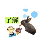かわいいココアさん♡（個別スタンプ：6）