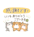 わんこーず集3(長文敬語)（個別スタンプ：16）