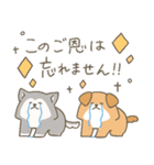 わんこーず集3(長文敬語)（個別スタンプ：34）