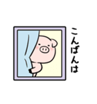 ブタのPちゃん 丁寧スタンプ（個別スタンプ：9）