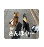 れおおおおお（個別スタンプ：7）
