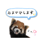 市川市動植物園スタンプ  第2弾 敬語特集（個別スタンプ：35）