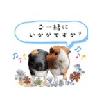 市川市動植物園スタンプ  第2弾 敬語特集（個別スタンプ：39）