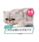 わん2にゃん1stamp（個別スタンプ：3）