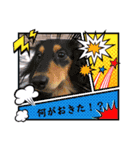 わん2にゃん1stamp（個別スタンプ：8）