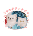 わん2にゃん1stamp（個別スタンプ：10）