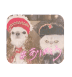 わん2にゃん1stamp（個別スタンプ：11）