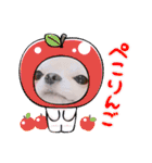 わん2にゃん1stamp（個別スタンプ：12）