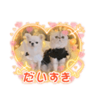 わん2にゃん1stamp（個別スタンプ：16）