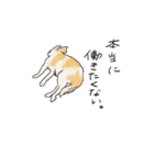 Noa.(チワワ)（個別スタンプ：2）