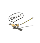 Noa.(チワワ)（個別スタンプ：6）