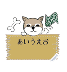 ～柴犬～メッセージスタンプ（個別スタンプ：2）