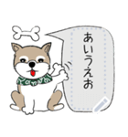 ～柴犬～メッセージスタンプ（個別スタンプ：6）