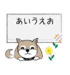 ～柴犬～メッセージスタンプ（個別スタンプ：7）