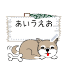 ～柴犬～メッセージスタンプ（個別スタンプ：9）