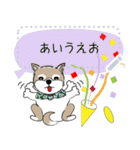 ～柴犬～メッセージスタンプ（個別スタンプ：12）